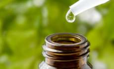 Rio Bonito - Vem a&iacute; curso sobre homeopatia animal, vegetal e humana.