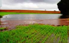 Paran&aacute; levar&aacute; uma d&eacute;cada para recuperar danos na agricultura devido as chuvas