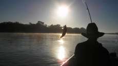 Pesca nos rios do Paran&aacute; est&aacute; liberada, informa Pol&iacute;cia Ambiental