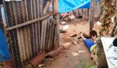 Mulher cansada dos furtos em seu galinheiro ligou fio el&eacute;trico no local e acabou matando um ladr&atilde;o de galinhas eletrocutado