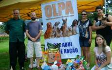 A entidade já atua lutando pelos animais