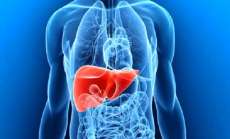 H&aacute; cinco tipos de hepatites e v&aacute;rias formas de cont&aacute;gio. Veja quais