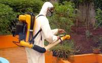 Casos positivos de dengue no Paraná praticamente dobram em uma semana