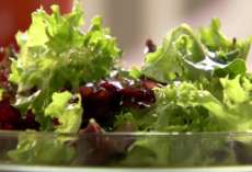 Alface, r&uacute;cula, agri&atilde;o e acelga s&atilde;o aliados da dieta e ricos em nutrientes