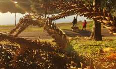 Depois de calor e frio, semana ser&aacute; de outono