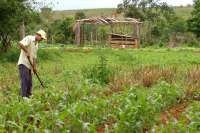Agricultura familiar do Paraná receberá R$ 3,9 milhões de crédito