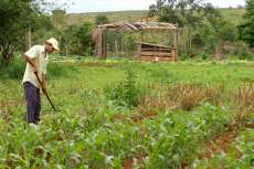 Agricultura familiar do Paran&aacute; receber&aacute; R$ 3,9 milh&otilde;es de cr&eacute;dito