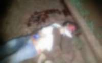 Guaraniaçu - Homem é morto à pedradas na madrugada desta sexta dia 02. Veja reportagem completa