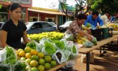 Laranjeiras -  Projeto de extensão da UFFS apoia criação de feira de produtos agroecológicos