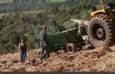 Guarania&ccedil;u - Agricultor guarania&ccedil;uense &eacute; destaque na m&iacute;dia nacional