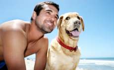 Aprendas 10 li&ccedil;&otilde;es que os c&atilde;es nos ensinam para vivermos melhor