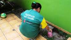Limpeza e a&ccedil;&otilde;es educativas marcam Mobiliza&ccedil;&atilde;o Estadual contra a dengue no Paran&aacute;