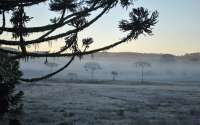 Massa de ar polar traz geada e mínimas negativas para o Paraná