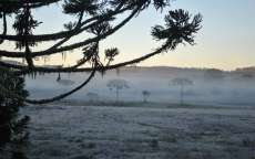 Massa de ar polar traz geada e m&iacute;nimas negativas para o Paran&aacute;