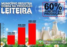 Reserva do Iguaçu - Município registra dobra na produção leiteira