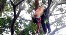 Jovem morre em capotamento e corpo fica pendurado em &aacute;rvore no Paraguai