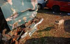 C&atilde;ozinho n&atilde;o abandona carro onde o dono morreu h&aacute; quase um ano