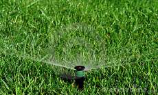Saiba qual o tipo de irriga&ccedil;&atilde;o indicado para o seu jardim