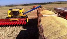 Safra de 2016 ser&aacute; maior para metade de produtos agr&iacute;colas, diz IBGE