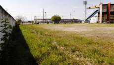 No Paran&aacute; prefeitura vai leiloar 20 terrenos ao lado do Pinheir&atilde;o