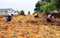 Laranjeiras - Moradores comemoram a chegada do calçamento nas ruas Minas Gerais e Tiradentes no Água Verde