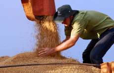 Paran&aacute; volta ao topo da produtividade em milho e soja