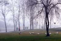 Paraná deve ter pelo menos mais uma onda de frio neste inverno