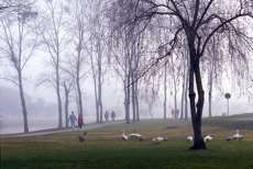 Paran&aacute; deve ter pelo menos mais uma onda de frio neste inverno
