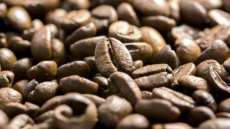 Brasil pode ter a segunda maior produ&ccedil;&atilde;o de caf&eacute; da hist&oacute;ria