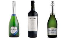 Tr&ecirc;s vinhos brasileiros est&atilde;o entre os melhores do mundo, saiba quais