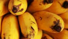 Superalimentos s&atilde;o mito ou verdade?