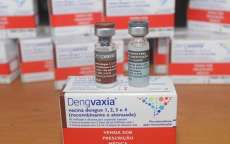Mais de 12 mil paranaenses j&aacute; se vacinaram contra a dengue