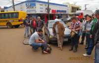 Fotos - Hércules Folador