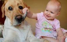 7 dicas para uma conviv&ecirc;ncia harmoniosa entre c&atilde;es e crian&ccedil;as