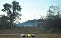 Laranjeiras - Fogo em vegetação é atendido pelos bombeiros próximo ao Lago 2