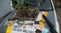 Virmond - Pedreiro que plantava maconha no quintal de casa é preso