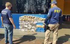 PRF apreende caminh&atilde;o com 365 quilos de maconha