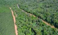 Quedas - Araupel conquista o prêmio Expressão de Ecologia