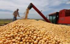 Agricultura prev&ecirc; safra de 19 milh&otilde;es de toneladas de soja
