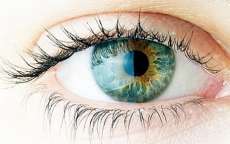 Saiba quais s&atilde;o as cores de olhos mais raras do mundo