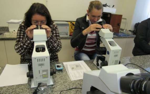 Reserva do Iguaçu - Agentes de endemias aprendem a identificar larvas do Aedes aegypti