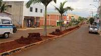 Palmital - Prefeitura investe na revitalização de canteiros e muda paisagem urbana