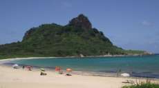 Tubar&atilde;o ataca turista paranaense em Fernando de Noronha e v&iacute;tima perde m&atilde;o e parte do bra&ccedil;o