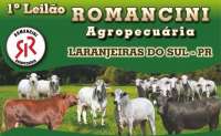 Laranjeiras - Dia 21 de agosto acontece o 1&ordm; Leil&atilde;o Romancini Agropecu&aacute;ria