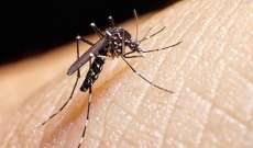 Governo libera R$234 milh&otilde;es para pesquisas sobre Zika e apoio &agrave; ci&ecirc;ncia