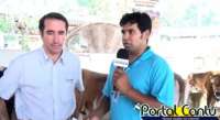 Guarania&ccedil;u - Alexandre Weber, gerente da CRV Lagoa fala ao Portal Cantu sobre a conquista do 1&ordm; lugar na categoria jersey maior que 12 meses na Expoagro 2013
