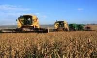 Bom desempenho agropecuário impulsiona o PIB no Paraná