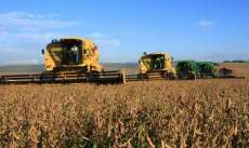 Bom desempenho agropecu&aacute;rio impulsiona o PIB no Paran&aacute;