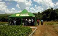 Laranjeiras - Alunos de Agronomia da UFFS participam de dia de campo sobre tecnologia em feijão