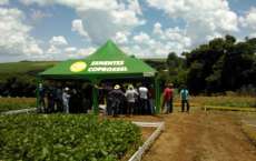 Laranjeiras - Alunos de Agronomia da UFFS participam de dia de campo sobre tecnologia em feijão